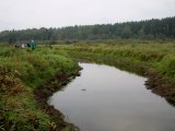 Noslēguma seminārs