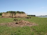 Palu sanesu savākšanas talka 15.05.2013