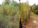 Pļavu atjaunošanas talka 28.-29.09.2013